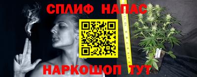 соль ск Бийск