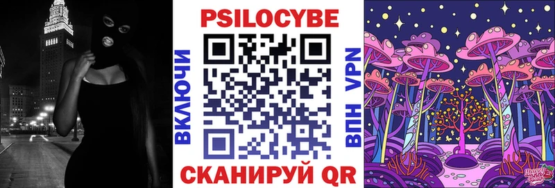 Псилоцибиновые грибы MAGIC MUSHROOMS  мега зеркало  shop какой сайт  магазин продажи   Богородицк 