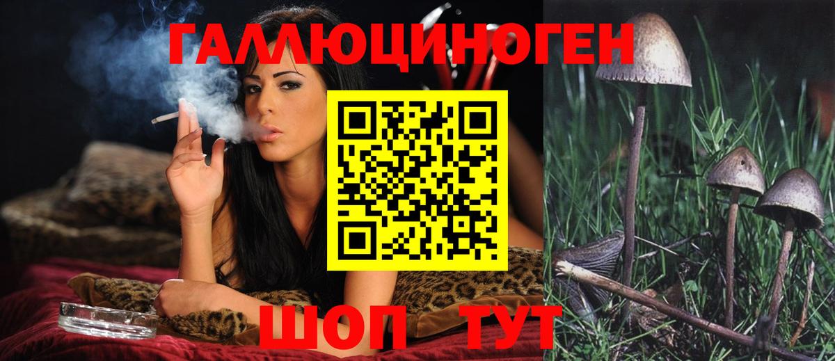 закладка  Богородицк  Галлюциногенные грибы MAGIC MUSHROOMS 