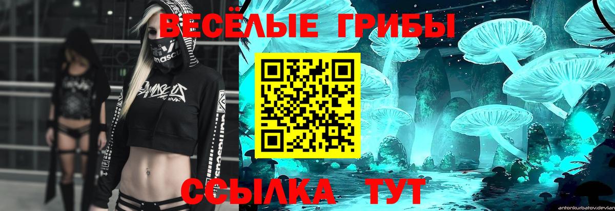 ГАШИШ Богородицк