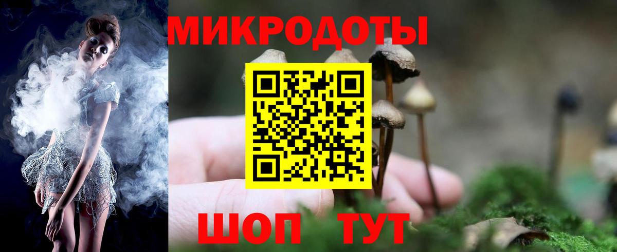 Галлюциногенные грибы Cubensis Богородицк