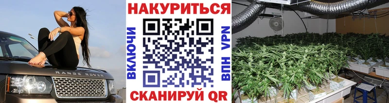 Конопля сатива Богородицк